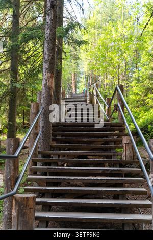 Steile Holztreppen mit Metallgeländern führen nach oben durch dichten grünen Wald, umgeben von hohen Bäumen, hellem Laub und natürlichem Tageslicht Stockfoto