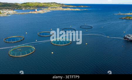 Aus der Vogelperspektive sehen Sie mehrere kreisförmige Fischzuchtkäfige in unberührten blauen Gewässern in der Nähe von Lofoten, Norwegen, mit felsiger Küste und kleiner Küste Stockfoto