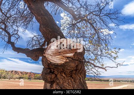 Landschaft der Ghost Ranch, New Mexico, USA Stockfoto