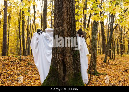 Zwei Personen in Halloween-Geisterkostümen stehen oder spazieren durch einen Herbstwald, umgeben von bunten Laub. Die Kostüme bestehen aus weißen Stofflaken, die die Figuren bedecken, und schaffen so eine verspielte und geheimnisvolle saisonale Szene. Gefallene Blätter bedecken den Waldboden, während Baumstämme und Äste die Charaktere einrahmen. Stockfoto