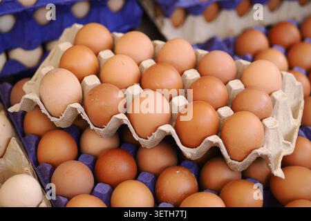 Frische Eier im Karton auf einem Markt am Morgen Stockfoto