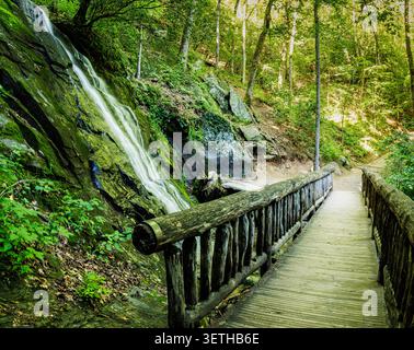 Wooden Foorbridge unterhalb der Juney Whank Falls, Great Smoky Mountains National Park, North Carolina, USA Stockfoto
