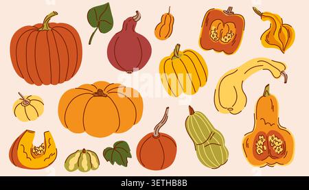 Eine große Auswahl von Kürbissen, Herbstfrüchten ganz und Hälften mit Fruchtfleisch und Samen, Riesenkürbis, Muskatnuss, Delikatata, Deko. Vektorillust Stock Vektor