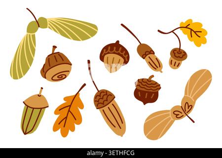 Herbstkerne und Maple Seeds Elements Kollektion. Vektorabbildung Stock Vektor