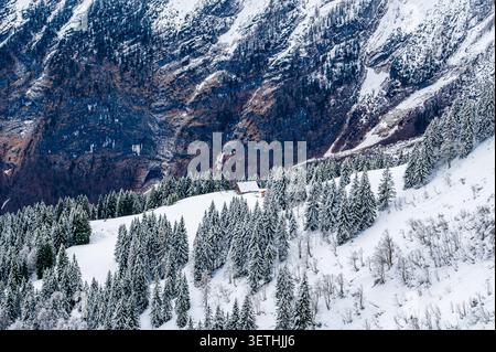 Schneebedeckter Nadelwald an einem steilen alpinen Hang mit einer kleinen Holzhütte unter einer zerklüfteten Felswände in den Berchtesgadener Alpen, Bayern, Deutschland. Stockfoto