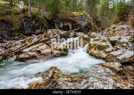 Schnell fließender Gebirgsbach mit moosbedeckten Felsen und klarem Wasser, das durch einen dichten Nadelwald in Berchtesgaden, Bayern, fließt Stockfoto