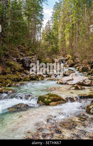 Klarer Gebirgsbach mit kleinen Kaskaden, die über moosbedeckte Felsen durch einen dichten Nadelwald in den Berchtesgadener Alpen fließen, Bayern, Deutschland, Stockfoto