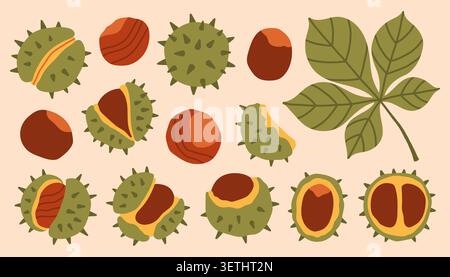 Herbstkastanienvektor mit stachelgrünen Muscheln, braunen Samen und Blättern. Flache Saisonelemente für Erntedankfest, Ernte und Natur Stock Vektor