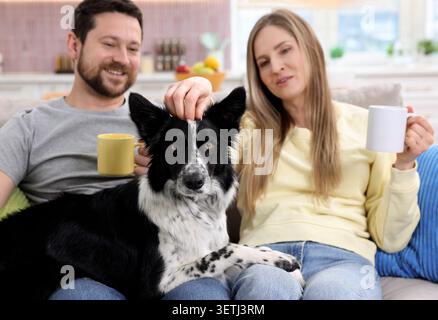 Glückliches Paar trinkt Kaffee und ruht sich mit seinem Hund zu Hause auf dem Sofa aus, selektiver Fokus Stockfoto