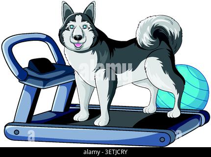 Ein Zeichentrickfilm Sibirischer Husky steht auf einem Laufband mit einem Fitnessball auf weißem Hintergrund Stock Vektor