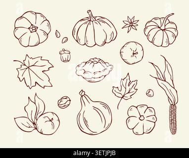 Handgezeichnete Herbstkürbisse und Danksgiving-Ernte-Doodle-Set Stock Vektor