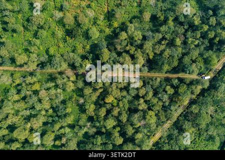 Blick aus der Vogelperspektive auf die üppig grünen Wälder mit einem unbefestigten Pfad, der durch die dichte Vegetation in Panchagarh, Rangpur Division, Bangladesch führt. Stockfoto