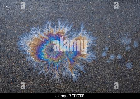 Der farbenfrohe, schimmernde Regenbogenglanz auf einer Straße, das Ergebnis eines Öllecks ist. Stockfoto