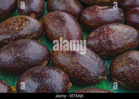 Frisch reife Avocados auf Green Mat auf dem Tropical Market in Kambodscha Stockfoto