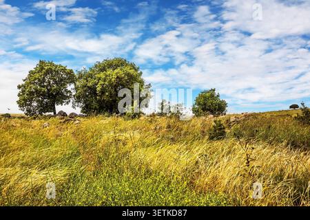 Nord-Israel. Die Golanhöhen erklimmen. Jarmouk bildet die Grenze zwischen Israel und Jordanien. Stockfoto