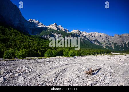 Das riesige Valbona-Tal mit felsigem Flussbett führt zu üppigen Wäldern und zerklüfteten Bergen in Albanien Stockfoto