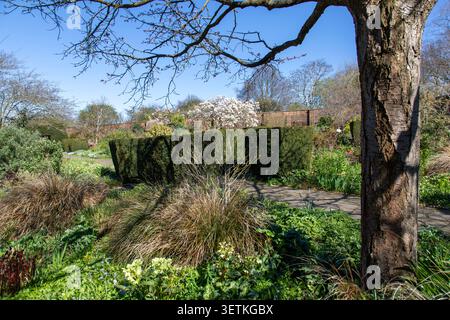 Frühling im ummauerten Garten im Brockwell Park, London SE24, UK Stockfoto