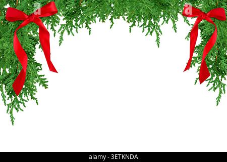 Grüne Zederndekoration Weihnachtsfeierrahmen isolierter Ausschnitt auf weiß mit Kopierraum, geeignet für Grußkarten oder Einladungen Stockfoto