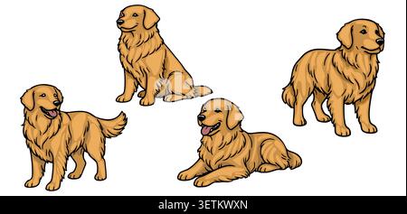 Set aus vier goldenen Retriever-Hunden in verschiedenen Posen, Vektor-Illustration Stock Vektor