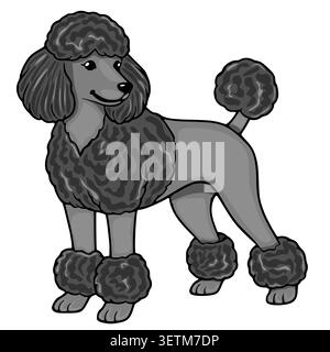Nette graue Pudel Vektor-Illustration, verspielter Hund mit flauschigem Pelz, isoliert auf weißem Hintergrund Stock Vektor