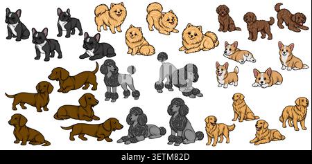 Entzückendes Vektorset verschiedener Hunderassen in verspielten Posen, Französisch Bulldog, Pommern, Pudel, Dachshund, Corgi, Golden Retriever Stock Vektor