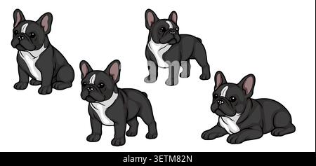 Set von niedlichen schwarz-weißen Französisch Bulldog Illustrationen in verschiedenen Posen, Vektor Stock Vektor