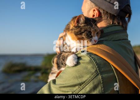 Nahaufnahme einer neugierigen Calico-Katze, die auf der Schulter des Haustierbesitzers sitzt, während sie zum ersten Mal in der Natur spaziert. Stockfoto