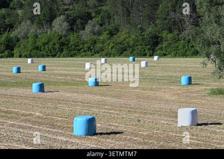 Blaue Heuballen Und Weiße Haye-Buchten Mit Kunststoffummantelung Stockfoto