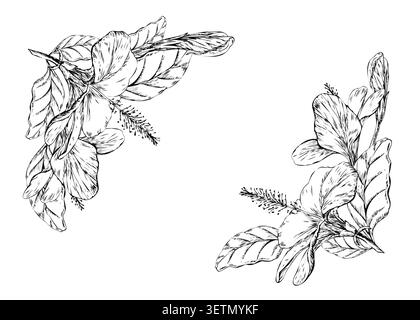 Hibiskus Blumen Rahmen Hand gezeichnete Linie Kunst Illustration. Schwarze Eckränder mit tropischen Blüten, Knospen und Blättern für exotische Hochzeiten Stock Vektor