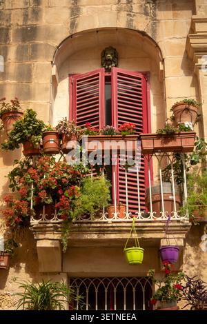 Malta, Mdina, rot bemalte Fensterläden auf dem Balkon des Hauses, dekoriert mit Topfpflanzen und Blumen Stockfoto