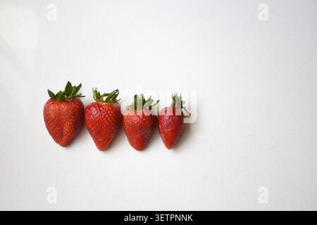 Blick von oben auf vier frische, reife Erdbeeren, die auf einem sauberen weißen Tisch platziert werden, wodurch eine minimalistische und lebendige Lebensmittelzusammensetzung entsteht, die sich ideal für eine gesunde Ernährung eignet. Stockfoto