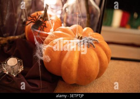 Halloween Kürbis Dekor mit Spinnennetz Kerzenlicht und warme Herbstatmosphäre für gruselige Jahreszeit Hauptdekoration gemütliche Herbstparty Hintergrund festlich Stockfoto