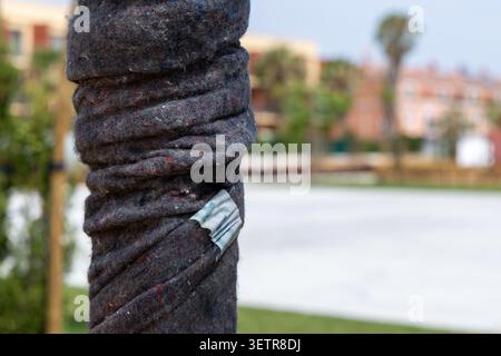 Nahaufnahme eines mit dunkelgrauem Filz bedeckten Baumstamms, der mit Klebeband gesichert ist, was auf Schutz vor Elementen oder Beschädigungen hinweist Stockfoto