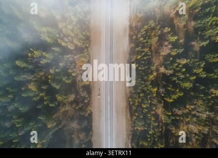 Aus der Vogelperspektive auf eine ruhige Straße, die von dichtem Wald umgeben ist, im frühen Morgenlicht mit weichem Nebel Stockfoto