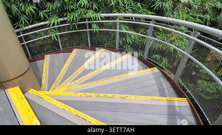 Wendeltreppe von oben in grüner Umgebung Stockfoto
