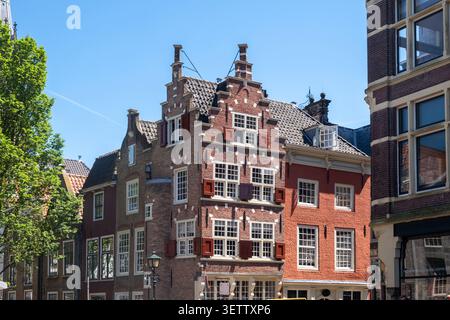 Delfter Rathausfassade mit Säulen, Skulpturen, vergoldeten Ornamenten und roten Fensterläden vor blauem Himmel im Stadtzentrum von Delft, Niederlande. Stockfoto