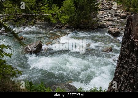 Das schnell fließende Flusswasser stürzt über Felsen, umgeben von üppigem Grün in einer natürlichen Waldlandschaft Stockfoto
