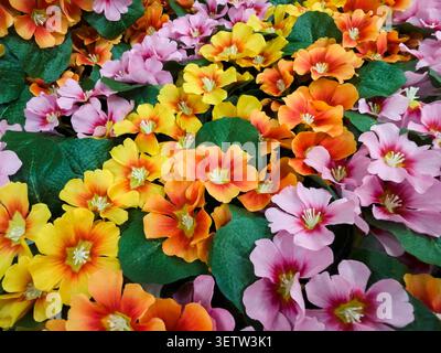 Bunte Kunstblumen-Kollektion – dekorative Seidenblumen und florale Hintergrundstruktur Stockfoto