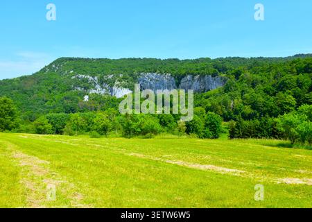 Grüne Felder an der Kalksteinklippe an der esge von Kras bei Podtabor in Notranjska, Slowenien Stockfoto