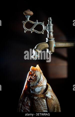 Getrockneter Fisch, der Wassertropfen fängt. Kreatives Konzept mit trockenem Fisch unter einem Messinghahn mit fallendem Tropfen. Künstlerische Metapher für Durst, Dehy Stockfoto