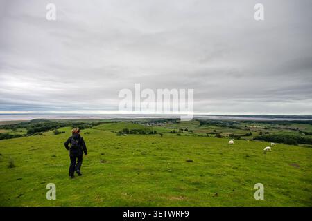 Cartmel, 19. Juni 2026: Blick auf die Morecambe Bay bei Ebbe vom Hampsell Hospiz Stockfoto