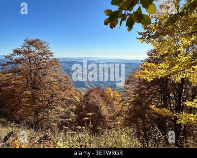 Atemberaubende Landschaft in Rumänien - Nationalpark Buila-Vanturarita Stockfoto
