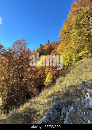 Atemberaubende Landschaft in Rumänien - Nationalpark Buila-Vanturarita Stockfoto