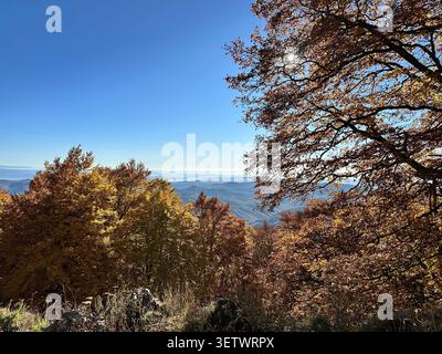Atemberaubende Landschaft in Rumänien - Nationalpark Buila-Vanturarita Stockfoto