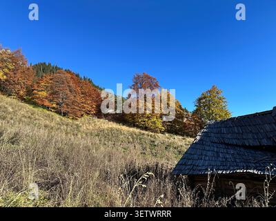 Atemberaubende Landschaft in Rumänien - Nationalpark Buila-Vanturarita Stockfoto