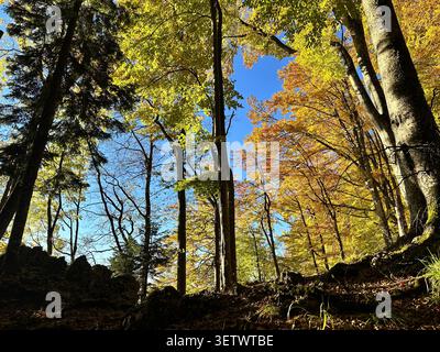 Atemberaubende Landschaft in Rumänien - Nationalpark Buila-Vanturarita Stockfoto