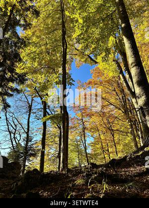 Atemberaubende Landschaft in Rumänien - Nationalpark Buila-Vanturarita Stockfoto