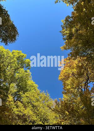 Atemberaubende Landschaft in Rumänien - Nationalpark Buila-Vanturarita Stockfoto