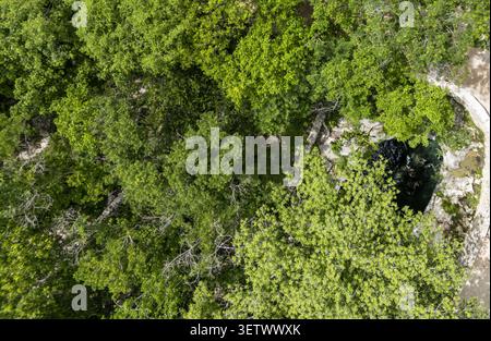 Blick aus der Vogelperspektive auf eine natürliche Cenote, umgeben von dichten tropischen Dschungelwäldern und Kalksteinformationen in Progreso, Yucatan, Mexiko. Stockfoto