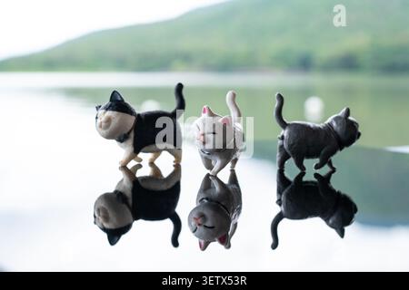 Chiang Mai, Thailand - 22. Juni 2026 : drei Katzenfiguren in schwarz weiß und grau gehen zusammen auf reflektierender Oberfläche mit Reservoir und Berg b Stockfoto